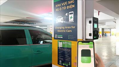 Diễn đàn P4G tài trợ cho 6 startup Việt về chuyển đổi xanh