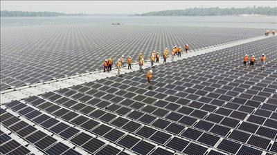 Trang trại điện mặt trời rộng bằng 70 sân bóng đá