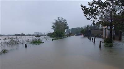 Miền Bắc hửng nắng; miền Trung đón bão số 13, mưa to đến rất to