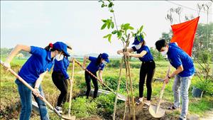 Đề án Trồng 1 tỷ cây xanh: Hơn 1,4 tỷ cây đã được trồng trong 5 năm qua