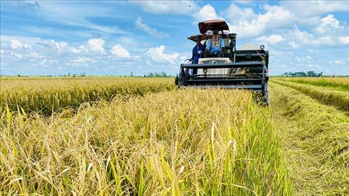 Khẩn trương thực hiện Đề án sản xuất giảm phát thải lĩnh vực trồng trọt