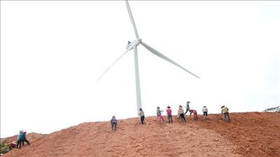 Quảng Trị: Phát động trồng cây xanh ở khu vực triển khai các dự án điện gió