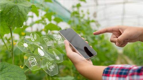 Xây dựng đề án về trồng trọt phát thải thấp