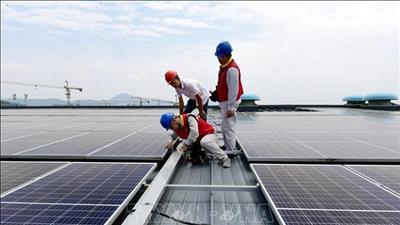 Trung Quốc công bố Sách Trắng về trung hòa carbon