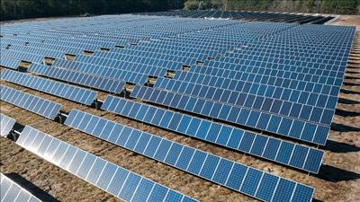 Phấn đấu hoàn thành dự án Nhà máy điện mặt trời Trung Nam - Thuận Nam trong 102 ngày đêm