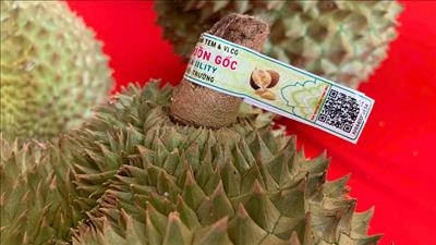Công bố Hệ thống truy xuất nguồn gốc nông sản