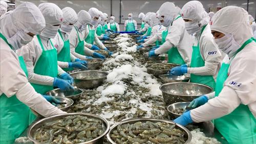 Kiến nghị tháo gỡ vướng mắc trong thủ tục cấp chứng nhận xuất xứ hàng hóa