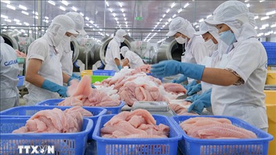 Hiệp định VEFTA mở cơ hội nâng tầm thủy sản Việt Nam tại thị trường cao cấp