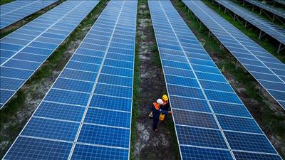 Khơi dậy tiềm năng trung tâm năng lượng tái tạo ở Việt Nam