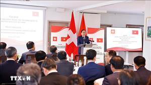 Việt Nam thúc đẩy hợp tác với Thụy Sĩ về phát triển trung tâm tài chính quốc tế