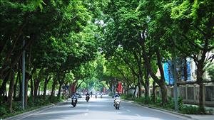 Bắc Bộ ngày nắng, sáng sớm và đêm trời rét; Nam Bộ có mưa dông