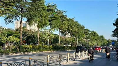 Bắc Bộ rét vào sáng sớm và đêm; duyên hải Nam Trung Bộ tiếp tục có mưa vừa, mưa to