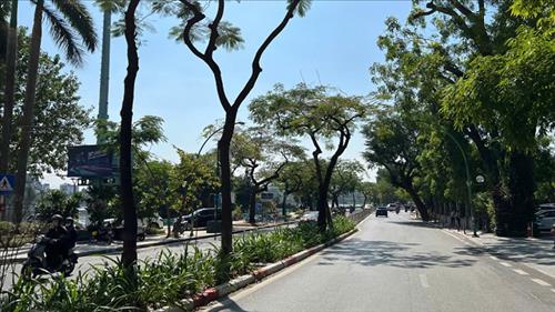 Bắc Bộ trời rét, ngày nắng hanh; Trung Bộ và Nam Bộ mưa dông vài nơi