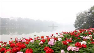 Bắc Bộ và Bắc Trung Bộ trời rét, trưa chiều giảm mây hửng nắng