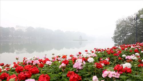 Bắc Bộ và Bắc Trung Bộ trời rét, trưa chiều giảm mây hửng nắng