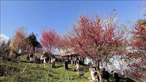 Thời tiết Tết Nguyên đán Bính Ngọ 2026 thuận lợi cho các hoạt động du xuân