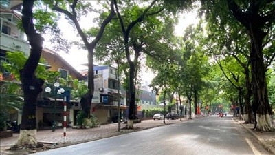 Bắc Bộ và Trung Bộ ngày nắng, có nơi nắng nóng; Nam Bộ mưa dông