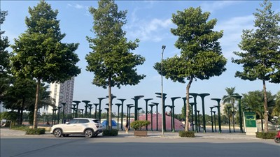 Bắc Bộ và Trung Bộ ngày nắng, Nam Bộ có mưa dông vài nơi