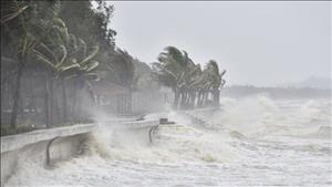 Chuẩn bị ứng phó với áp thấp nhiệt đới trên Biển Đông