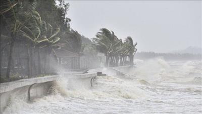 Chuẩn bị ứng phó với áp thấp nhiệt đới trên Biển Đông