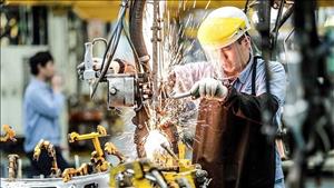 Chính phủ ban hành Kế hoạch hành động thực hiện Nghị quyết của Bộ Chính trị về phát triển kinh tế tư nhân