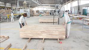 Tháo gỡ các điểm nghẽn, tạo đột phá phát triển kinh tế tư nhân