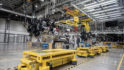 Quy định chính sách ưu đãi thuế phát triển kinh tế tư nhân