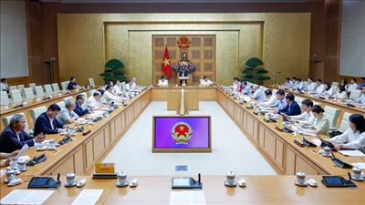 Thủ tướng thành lập Hội đồng Tư vấn chính sách