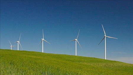 Lạng Sơn: Đôn đốc tiến độ thực hiện 5 dự án điện gió đã chấp thuận chủ trương đầu tư