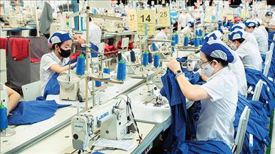 Tăng cường truy xuất nguồn gốc hàng hóa, minh bạch chuỗi cung ứng