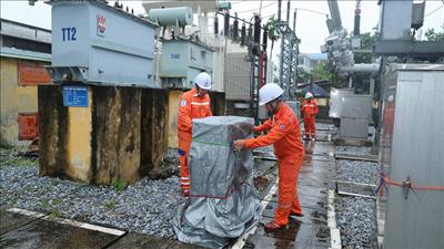 Tiếp tục triển khai ứng phó khẩn cấp với hoàn lưu bão số 3