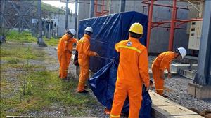 Triển khai ứng phó với bão Ragasa, đảm bảo an toàn hệ thống điện