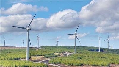 Hiện có 11/106 nhà máy điện gió được công nhận vận hành thương mại