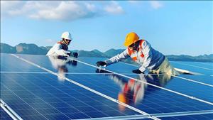 Đan Mạch hỗ trợ Việt Nam hoàn thiện bộ chỉ tiêu thống kê về việc làm xanh