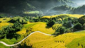 Tạp chí quốc tế đánh giá Việt Nam là điểm đến đáng trải nghiệm nhất châu Á trong năm 2026