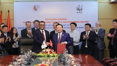 Việt Nam hợp tác với tổ chức WWF bảo vệ thiên nhiên và môi trường