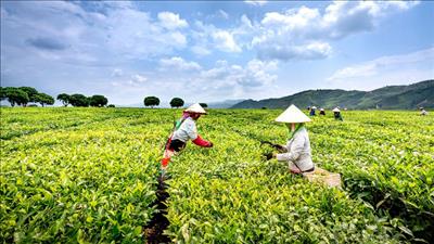 Ưu tiên nguồn lực cho các vùng đặc thù khi triển khai Chương trình mục tiêu quốc gia