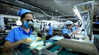 Nghị quyết số 10-NQ/TW: Động lực 