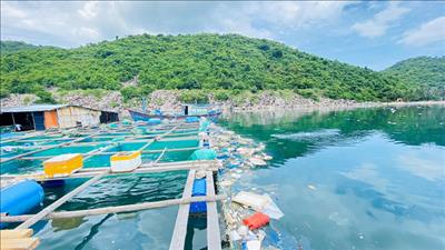 Nỗ lực giảm thiểu rác thải nhựa tại vịnh Vũng Rô, Phú Yên