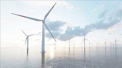 Bà Rịa - Vũng Tàu tổ chức hội thảo Chia sẻ kiến thức về phát triển điện gió ngoài khơi