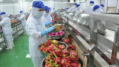 Phê duyệt Kế hoạch thực hiện Hiệp định Thương mại tự do giữa Việt Nam và Israel