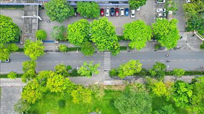 Vì một nền văn minh sinh thái, một Việt Nam xanh và một đại dương hòa bình, bền vững