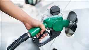 Bảo đảm nguồn cung ứng xăng dầu phục vụ nhu cầu tiêu dùng trong dịp Tết