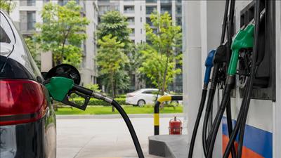 Kiểm tra, giám sát chất lượng xăng sinh học E10 trên địa bàn thành phố Hà Nội