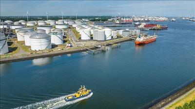 Cảnh báo lừa đảo xuất khẩu xăng dầu sang Hà Lan