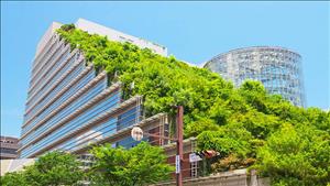 Số lượng doanh nghiệp đặt mục tiêu Net Zero tăng mạnh