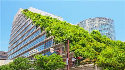 Số lượng doanh nghiệp đặt mục tiêu Net Zero tăng mạnh