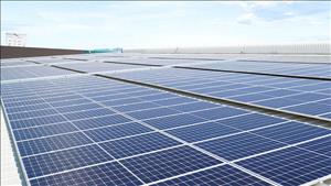 Động lực tăng trưởng từ chuyển đổi xanh