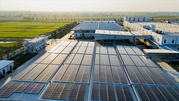 Doanh nghiệp đẩy mạnh chuyển đổi xanh để nâng cao vị thế trong chuỗi giá trị toàn cầu