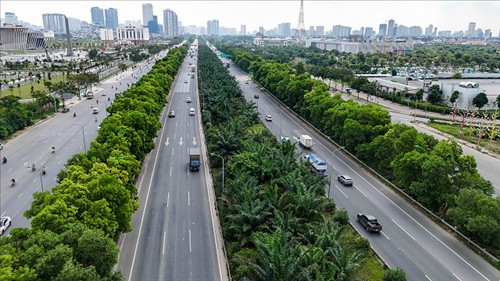 Nghiên cứu, xác định cơ cấu cây trồng góp phần giảm ô nhiễm không khí